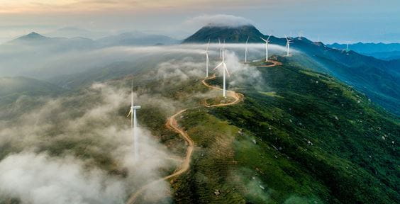 Cómo contribuyen los bonos verdes a la transición hacia un futuro más sostenible